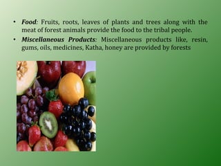 • Food: Fruits, roots, leaves of plants and trees along with the
meat of forest animals provide the food to the tribal people.
• Miscellaneous Products: Miscellaneous products like, resin,
gums, oils, medicines, Katha, honey are provided by forests
 