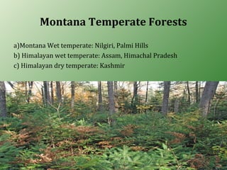 Montana Temperate Forests
a)Montana Wet temperate: Nilgiri, Palmi Hills
b) Himalayan wet temperate: Assam, Himachal Pradesh
c) Himalayan dry temperate: Kashmir
 