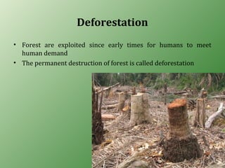 Deforestation
• Forest are exploited since early times for humans to meet
human demand
• The permanent destruction of forest is called deforestation
 