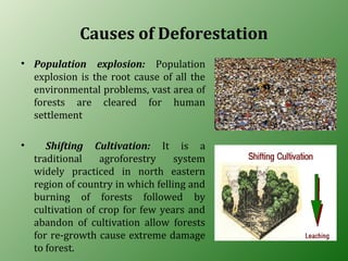 Causes of Deforestation
• Population explosion: Population
explosion is the root cause of all the
environmental problems, vast area of
forests are cleared for human
settlement
• Shifting Cultivation: It is a
traditional agroforestry system
widely practiced in north eastern
region of country in which felling and
burning of forests followed by
cultivation of crop for few years and
abandon of cultivation allow forests
for re-growth cause extreme damage
to forest.
 