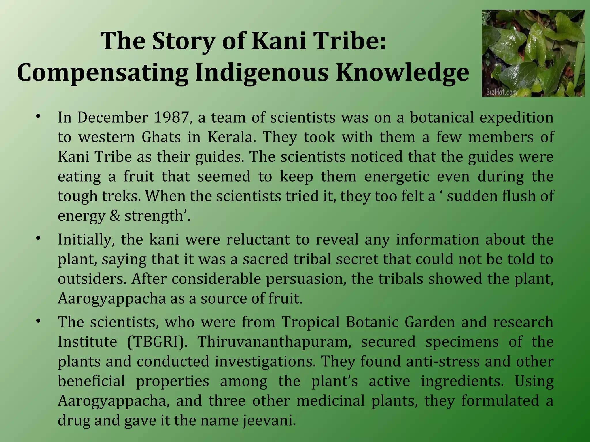 The Story of Kani Tribe:
Compensating Indigenous Knowledge
• In December 1987, a team of scientists was on a botanical expedition
to western Ghats in Kerala. They took with them a few members of
Kani Tribe as their guides. The scientists noticed that the guides were
eating a fruit that seemed to keep them energetic even during the
tough treks. When the scientists tried it, they too felt a ‘ sudden flush of
energy & strength’.
• Initially, the kani were reluctant to reveal any information about the
plant, saying that it was a sacred tribal secret that could not be told to
outsiders. After considerable persuasion, the tribals showed the plant,
Aarogyappacha as a source of fruit.
• The scientists, who were from Tropical Botanic Garden and research
Institute (TBGRI). Thiruvananthapuram, secured specimens of the
plants and conducted investigations. They found anti-stress and other
beneficial properties among the plant’s active ingredients. Using
Aarogyappacha, and three other medicinal plants, they formulated a
drug and gave it the name jeevani.
 