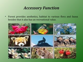 Accessory Function
• Forest provides aesthetics, habitat to various flora and fauna
besides that it also has an recreational value.
 