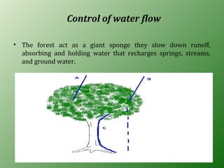 Control of water flow
• The forest act as a giant sponge they slow down runoff,
absorbing and holding water that recharges springs, streams,
and ground water.
 