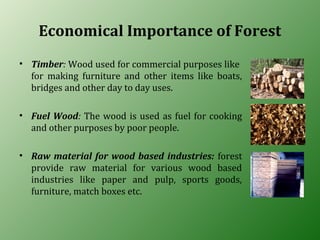 Economical Importance of Forest
• Timber: Wood used for commercial purposes like
for making furniture and other items like boats,
bridges and other day to day uses.
• Fuel Wood: The wood is used as fuel for cooking
and other purposes by poor people.
• Raw material for wood based industries: forest
provide raw material for various wood based
industries like paper and pulp, sports goods,
furniture, match boxes etc.
 