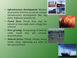 • Infrastructure development: Massive
destruction of forest occurs for various
infrastructure development like, big
dams, highways projects etc.
• Forest fires: Forest fires may be
natural or man made cause a huge loss
of forest
• Over grazing: Overgrazing of land by
cattle result into soil erosion,
desertification.
• Natural forces: Floods, storms, heavy
winds, snow, lightening are some of
the natural forces
 