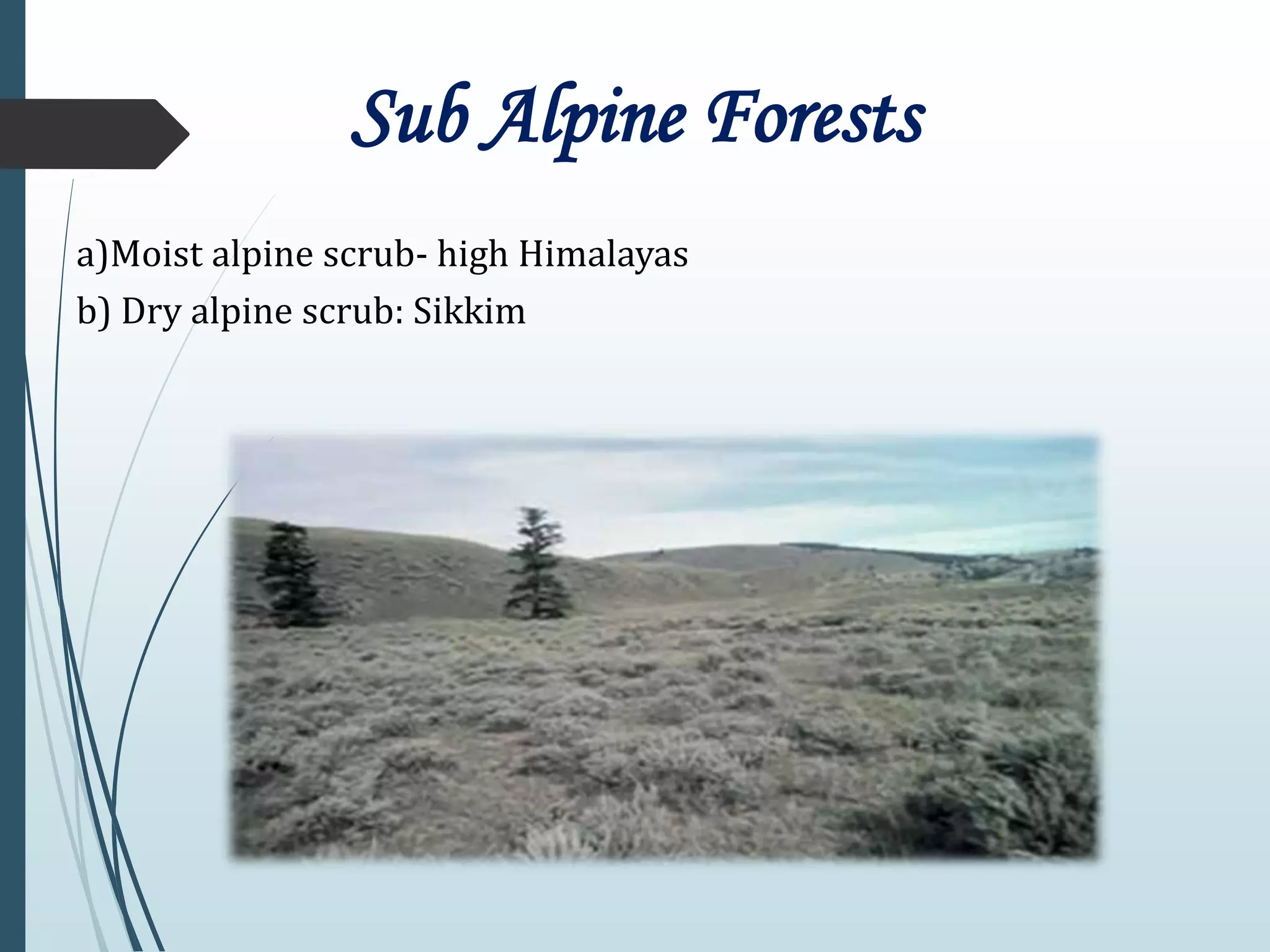 Forest resources for environmental studies | PPTX