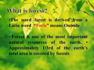 Forest resources | PPTX