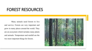 FOREST RESOURCES
Many animals need forests to live
and survive. Forests are very important and
grow in many places around the world. They
are an ecosystem which includes many plants
and animals. Temperature and rainfall are the
two most important things for forests.
 