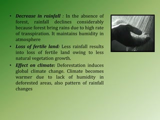 Forest Resources.ppt