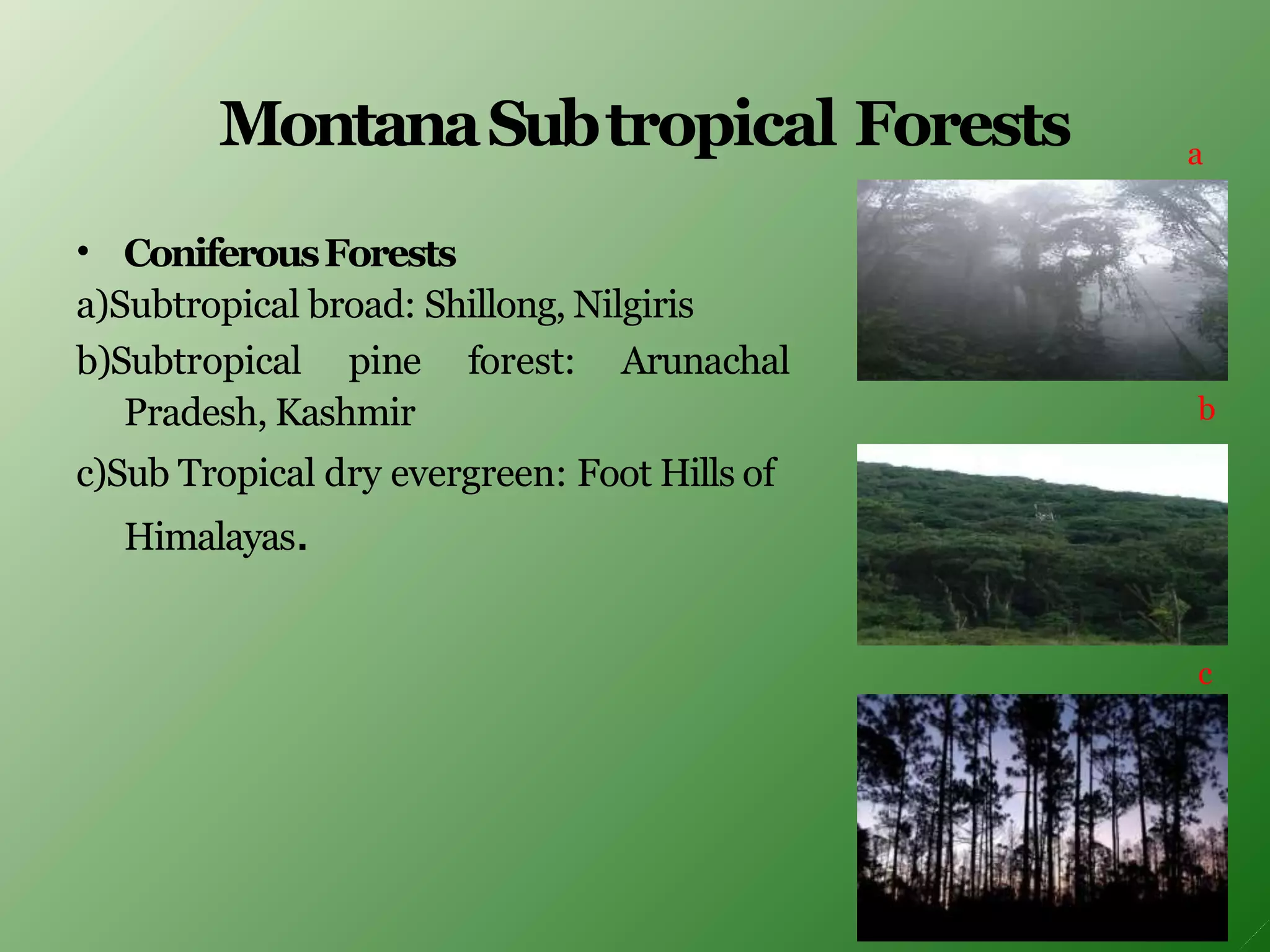 MontanaSubtropical Forests
• ConiferousForests
a)Subtropical broad: Shillong, Nilgiris
b)Subtropical pine forest: Arunachal
Pradesh, Kashmir
c)Sub Tropical dry evergreen: Foot Hills of
Himalayas.
a
b
c
 
