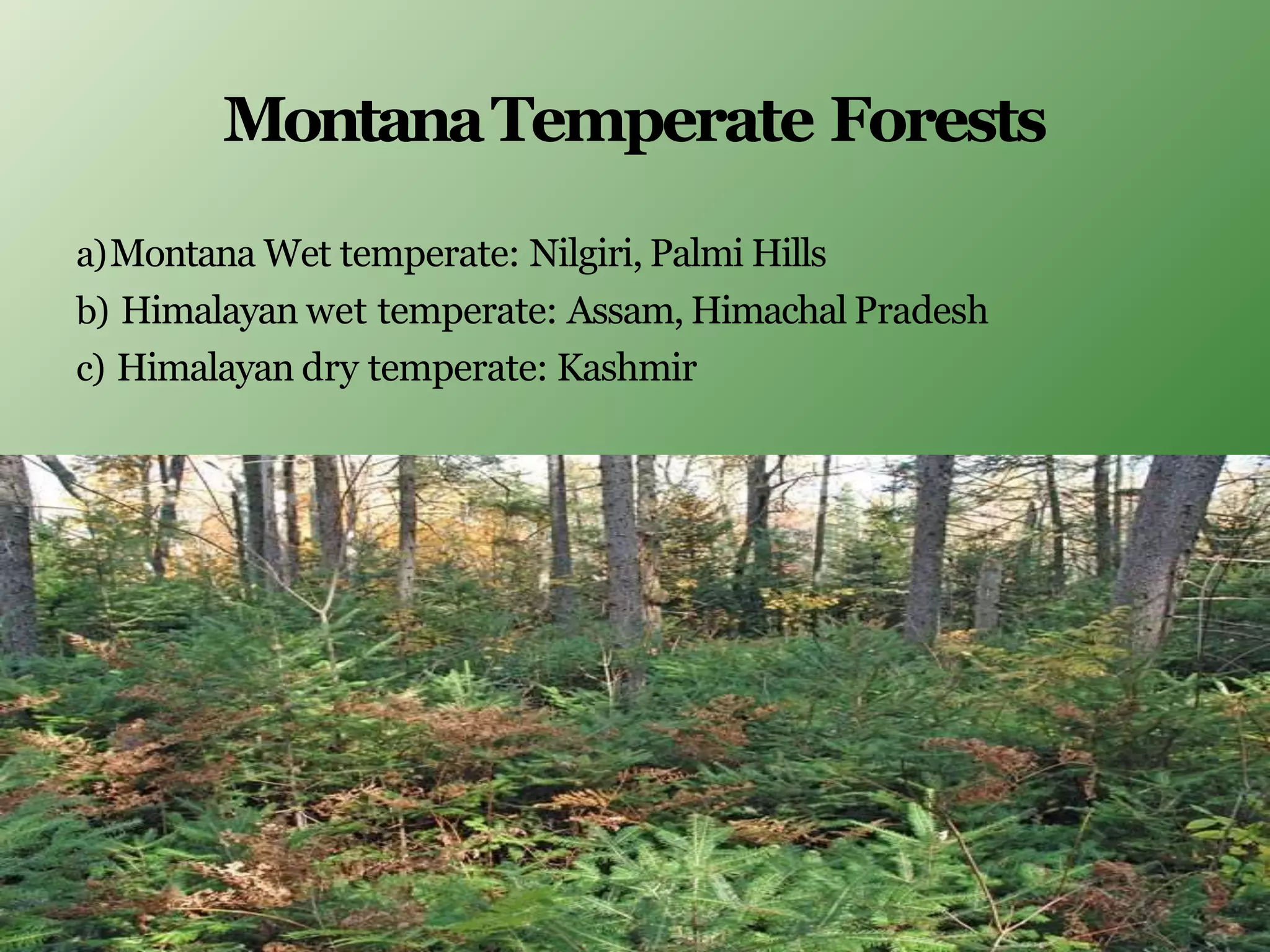 MontanaTemperate Forests
a)Montana Wet temperate: Nilgiri, Palmi Hills
b) Himalayan wet temperate: Assam, Himachal Pradesh
c) Himalayan dry temperate: Kashmir
 