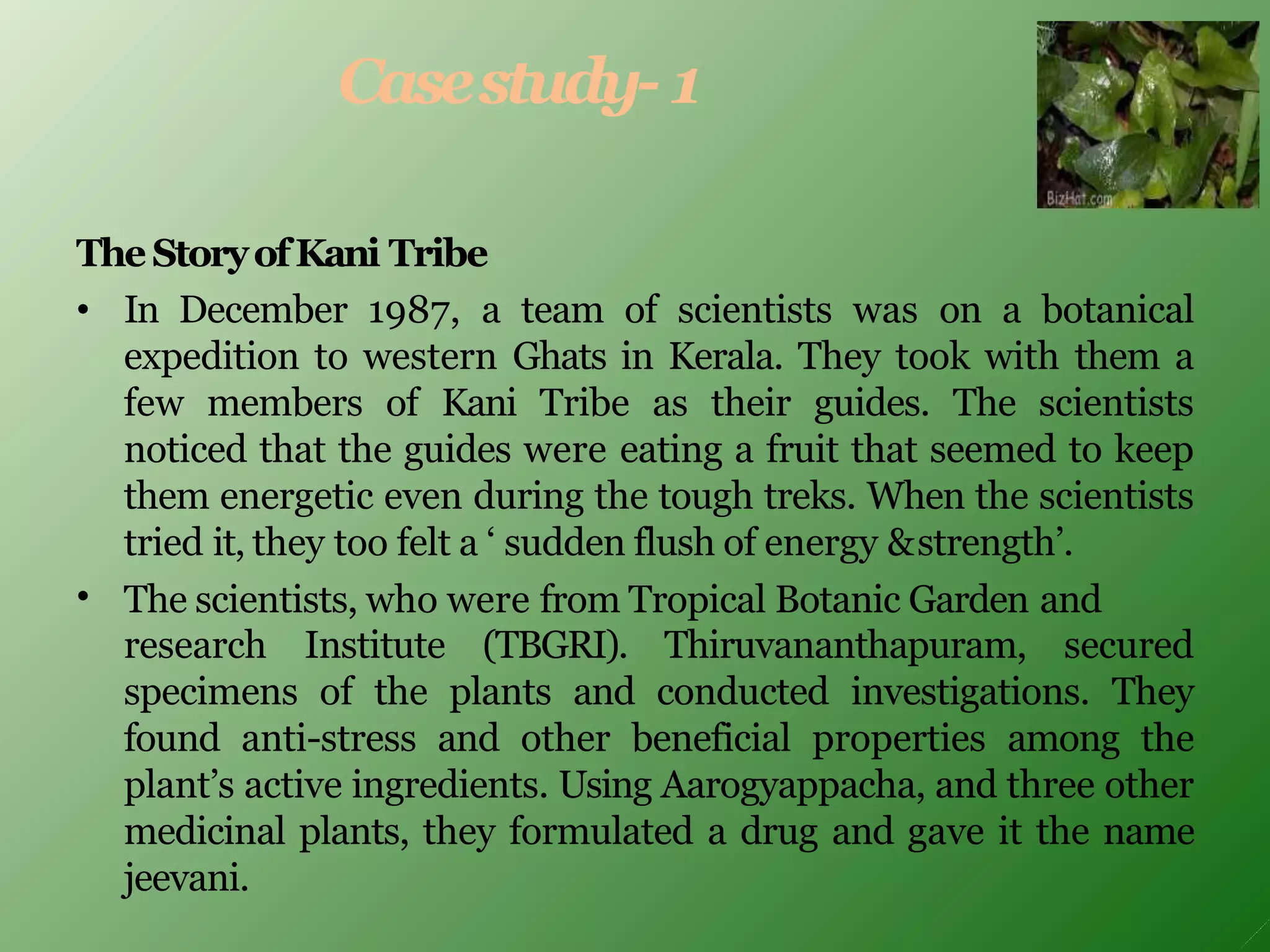 Casestudy- 1
TheStoryofKani Tribe
•
• In December 1987, a team of scientists was on a botanical
expedition to western Ghats in Kerala. They took with them a
few members of Kani Tribe as their guides. The scientists
noticed that the guides were eating a fruit that seemed to keep
them energetic even during the tough treks. When the scientists
tried it, they too felt a ‘ sudden flush of energy &strength’.
The scientists, who were from Tropical Botanic Garden and
research Institute (TBGRI). Thiruvananthapuram, secured
specimens of the plants and conducted investigations. They
found anti-stress and other beneficial properties among the
plant’s active ingredients. Using Aarogyappacha, and three other
medicinal plants, they formulated a drug and gave it the name
jeevani.
 