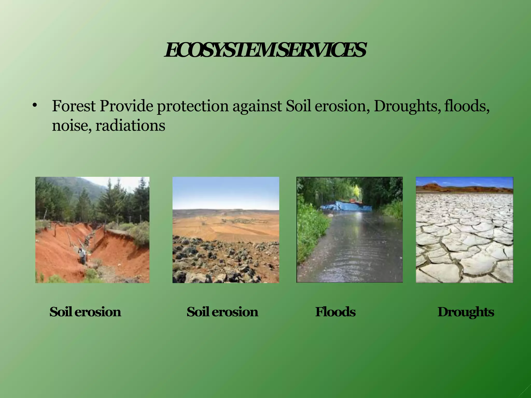 ECOSYSTEMSERVICES
• Forest Provide protection against Soil erosion, Droughts, floods,
noise, radiations
Soilerosion Floods
Soilerosion Droughts
 