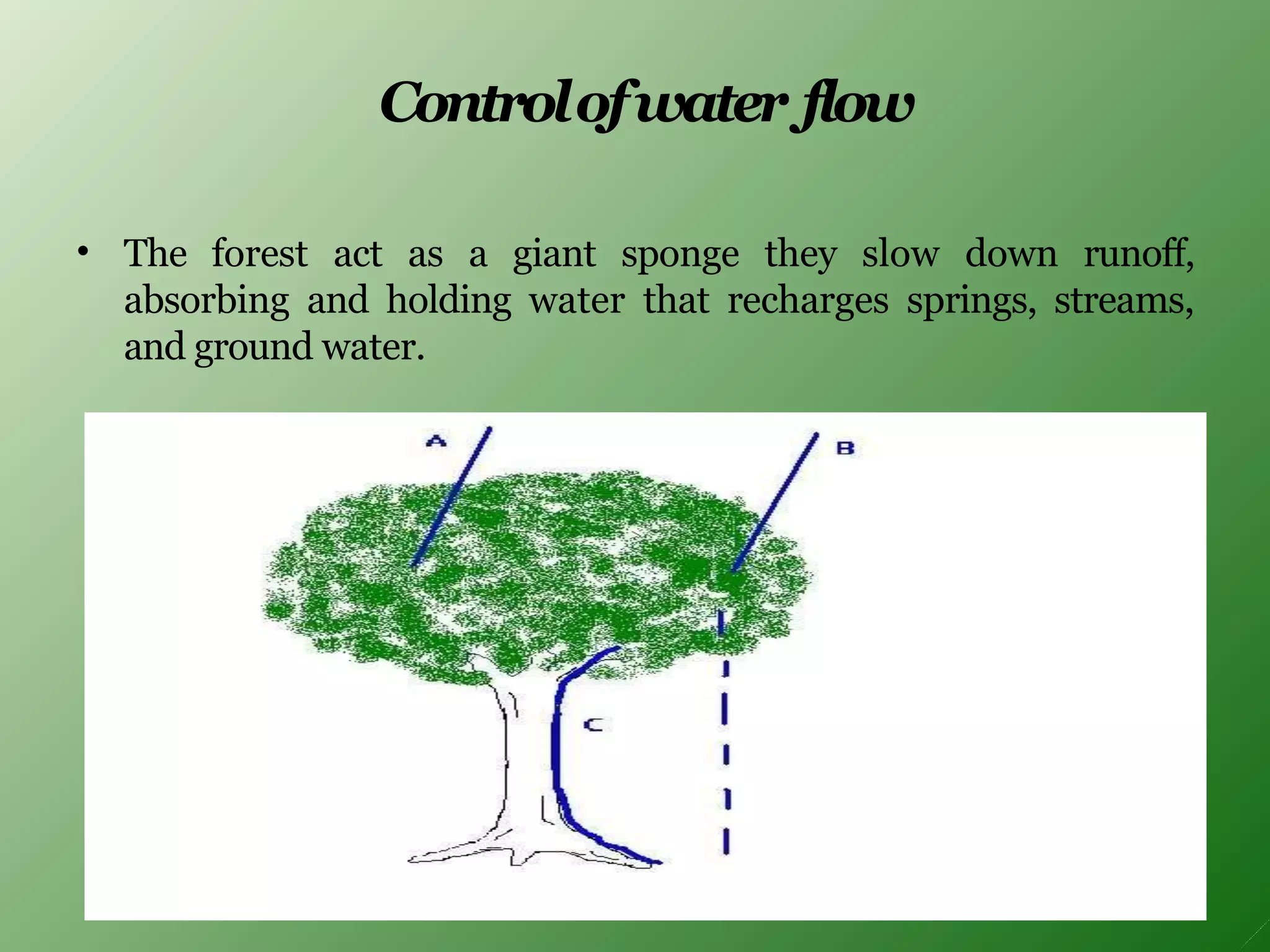 Controlofwater flow
• The forest act as a giant sponge they slow down runoff,
absorbing and holding water that recharges springs, streams,
and ground water.
 