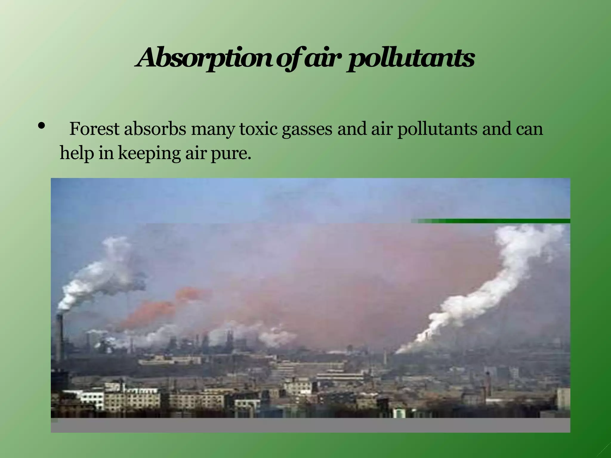 Absorptionofair pollutants
• Forest absorbs many toxic gasses and air pollutants and can
help in keeping air pure.
 