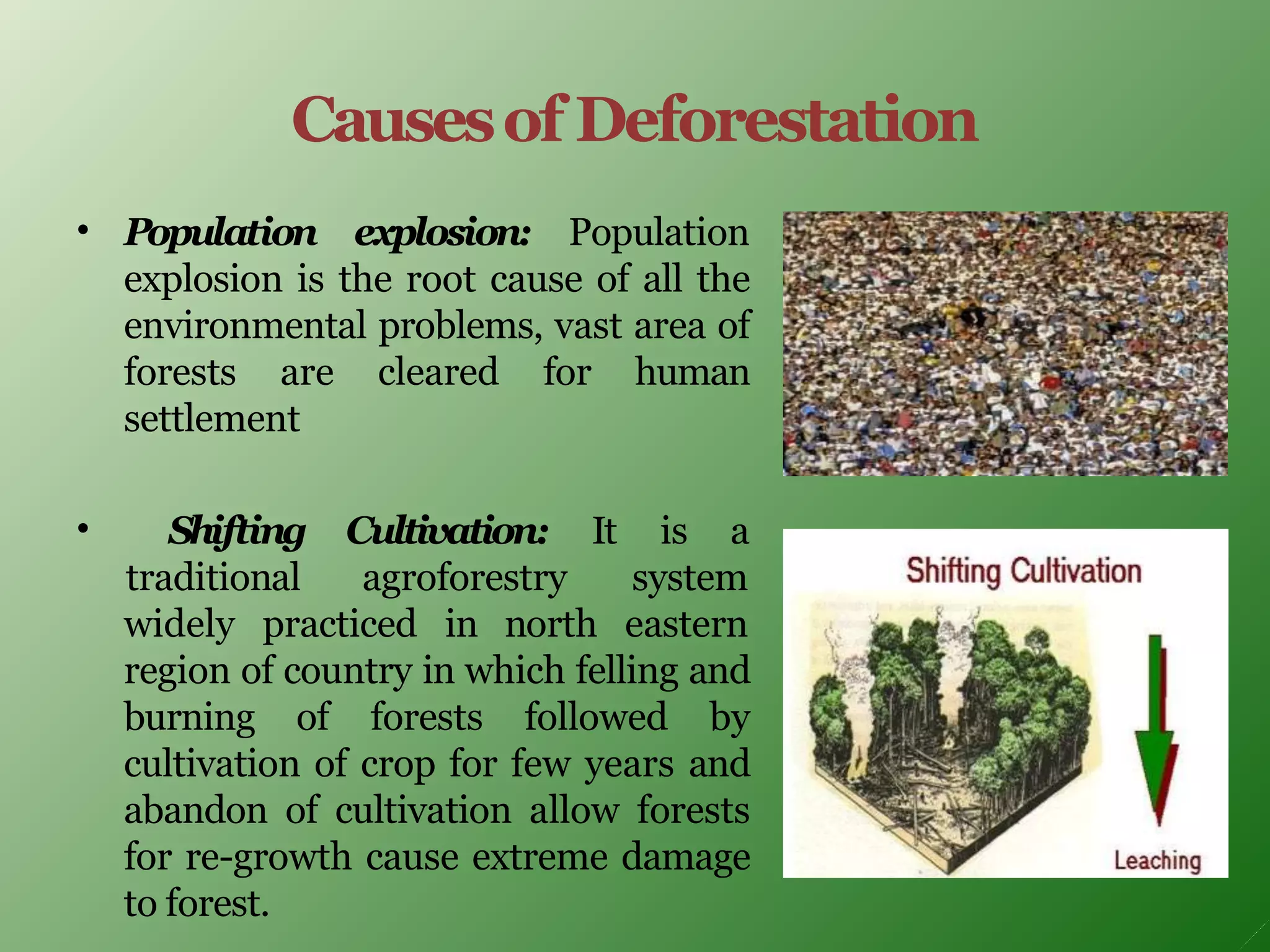 Causesof Deforestation
• Population explosion: Population
explosion is the root cause of all the
environmental problems, vast area of
forests are cleared for human
settlement
• It is a
Shifting
traditional
Cultivation:
agroforestry system
widely practiced in north eastern
region of country in which felling and
burning of forests followed by
cultivation of crop for few years and
abandon of cultivation allow forests
for re-growth cause extreme damage
to forest.
 