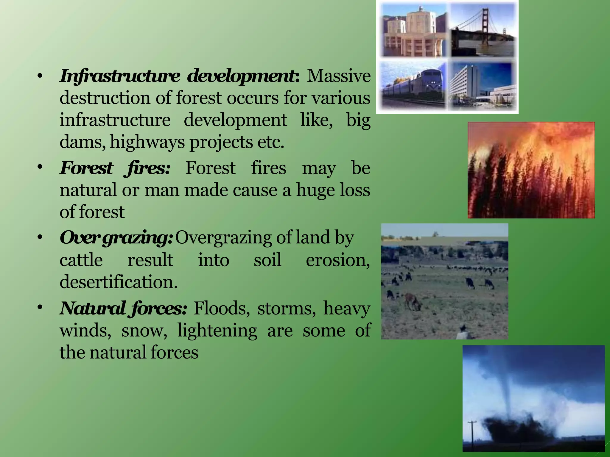 • Infrastructure development: Massive
destruction of forest occurs for various
infrastructure development like, big
dams, highways projects etc.
• Forest fires: Forest fires may be
natural or man made cause a huge loss
of forest
• Overgrazing:Overgrazing of land by
cattle result into soil erosion,
desertification.
• Natural forces: Floods, storms, heavy
winds, snow, lightening are some of
the natural forces
 