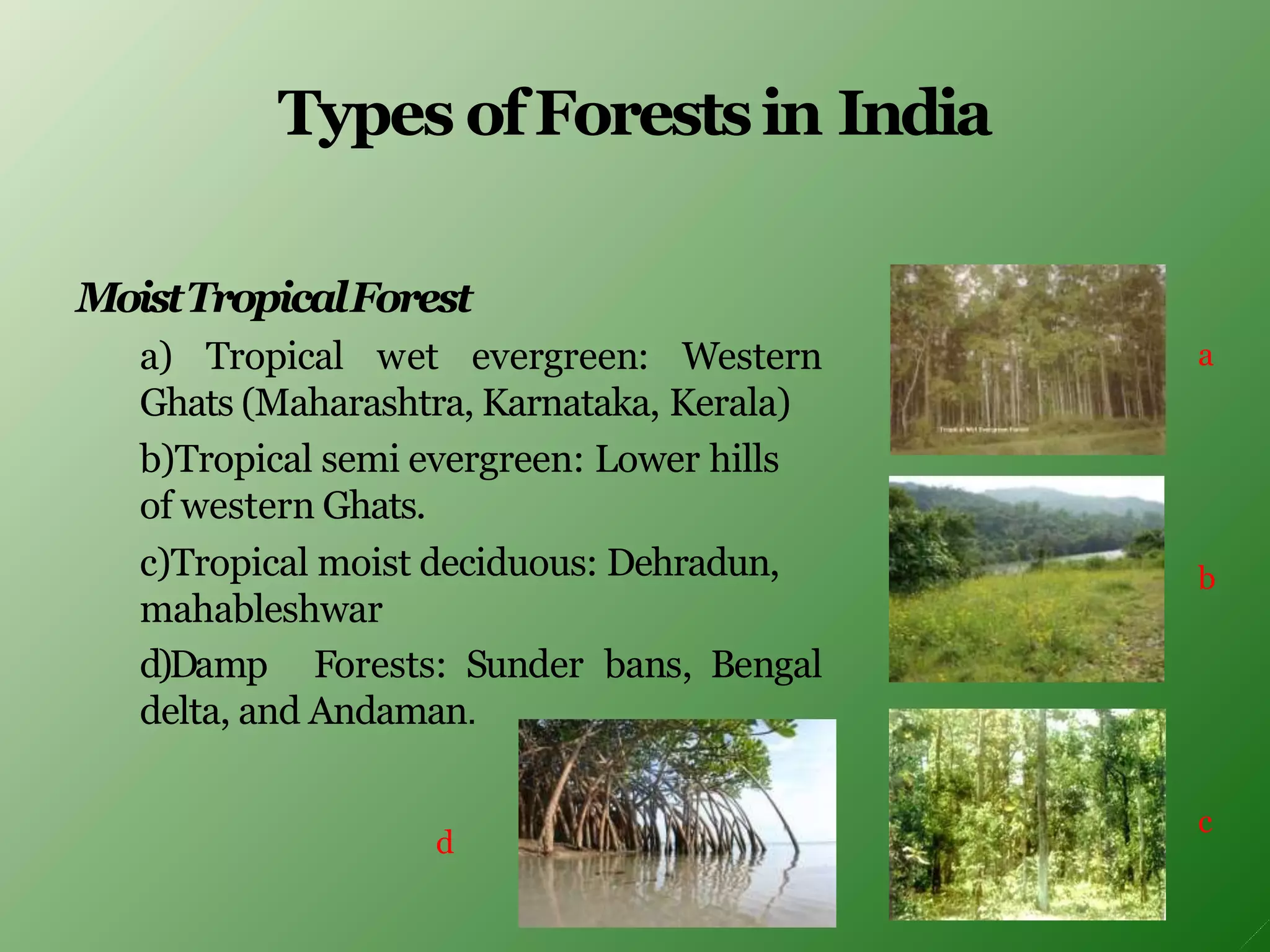 Types ofForestsin India
MoistTropicalForest
a) Tropical wet evergreen: Western
Ghats (Maharashtra, Karnataka, Kerala)
b)Tropical semi evergreen: Lower hills
of western Ghats.
c)Tropical moist deciduous: Dehradun,
mahableshwar
d)Damp Forests: Sunder bans, Bengal
delta, and Andaman.
a
b
d
c
 