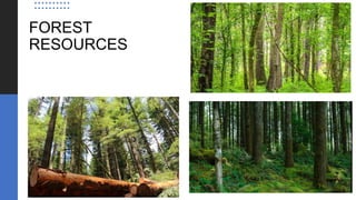 FOREST
RESOURCES
 