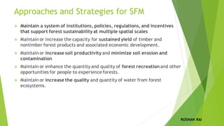 Forest Resources and Management | PDF
