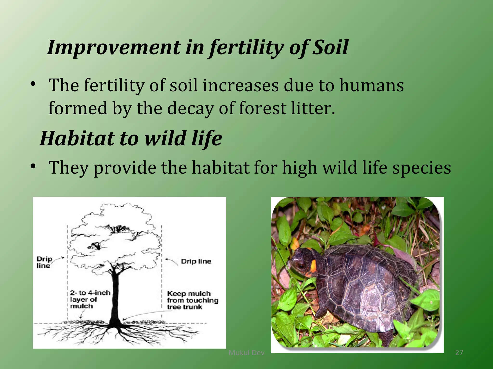 Improvement in fertility of Soil
• The fertility of soil increases due to humans
formed by the decay of forest litter.
Habitat to wild life
• They provide the habitat for high wild life species
Mukul Dev 27
 