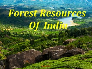 Forest Resources
Of India
Mukul Dev 1
 