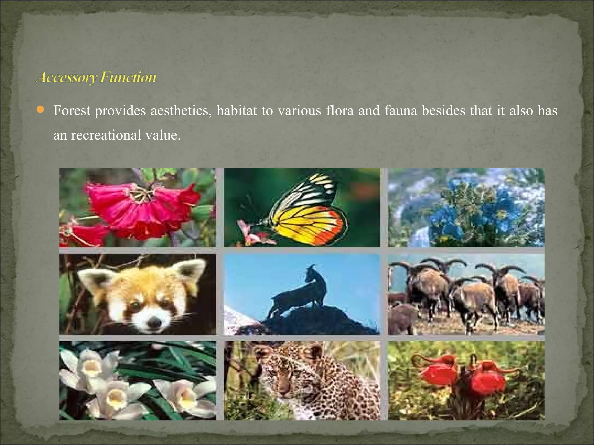  Forest provides aesthetics, habitat to various flora and fauna besides that it also has
an recreational value.
 
