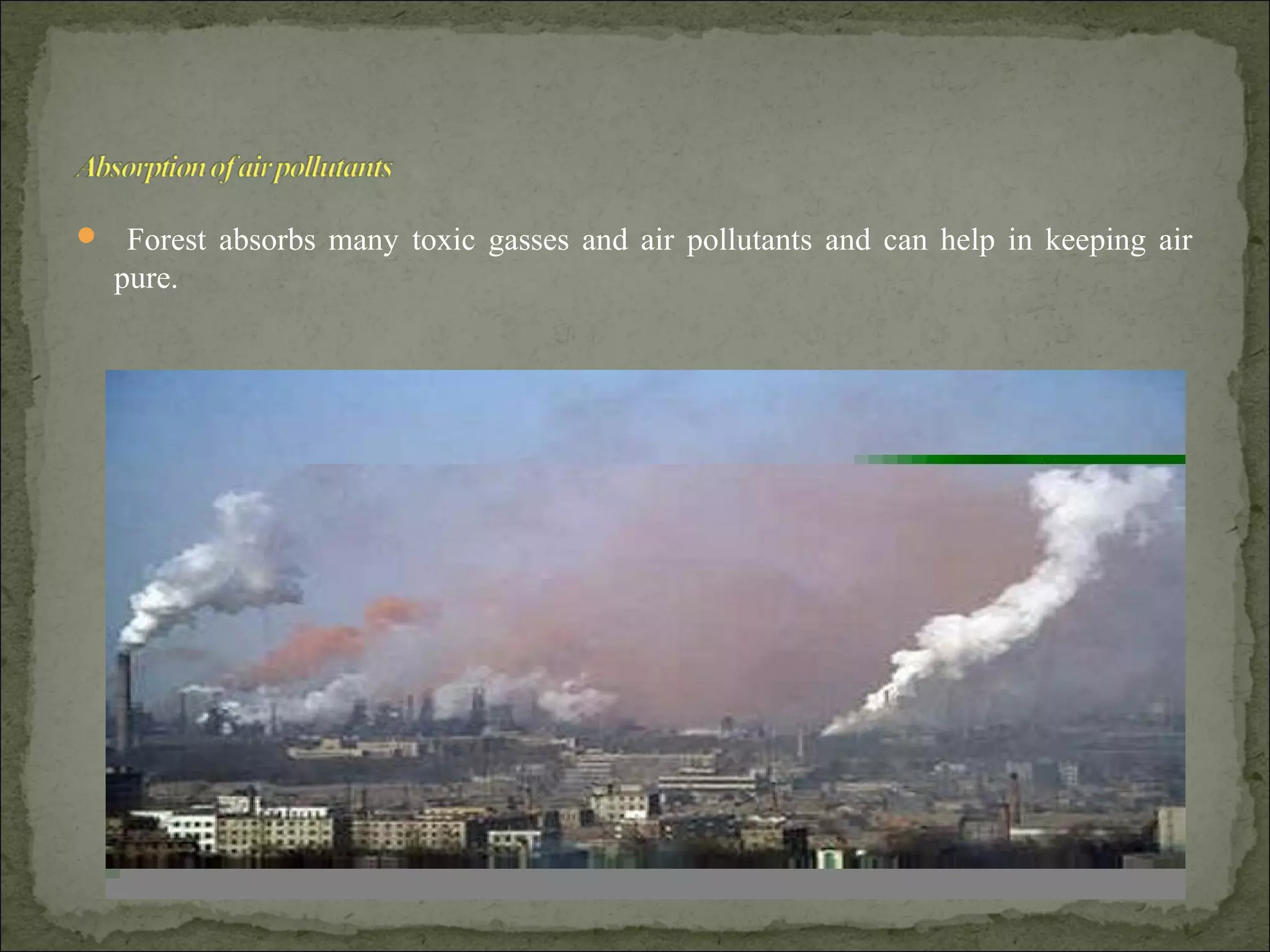  Forest absorbs many toxic gasses and air pollutants and can help in keeping air
pure.
 
