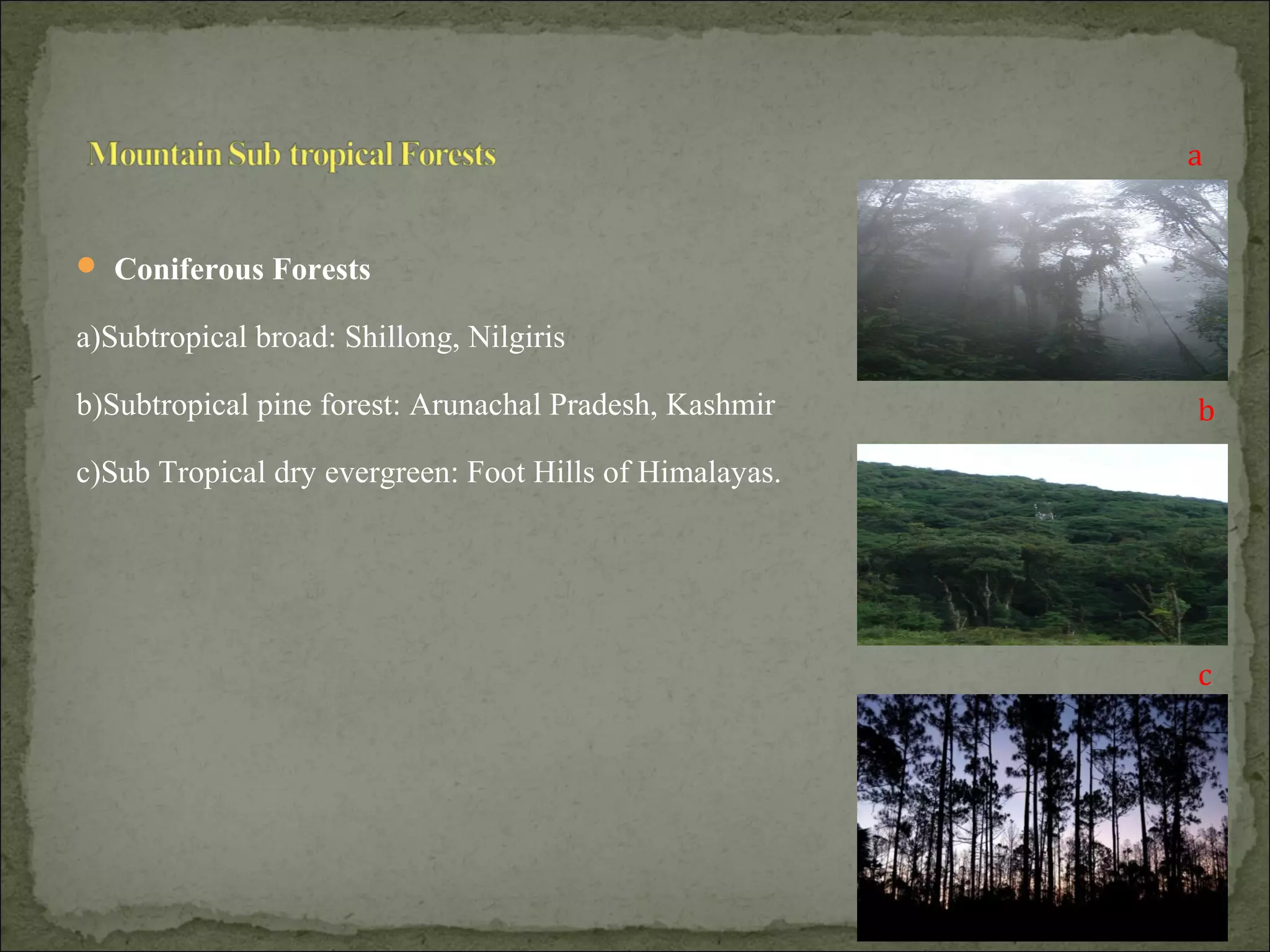  Coniferous Forests
a)Subtropical broad: Shillong, Nilgiris
b)Subtropical pine forest: Arunachal Pradesh, Kashmir
c)Sub Tropical dry evergreen: Foot Hills of Himalayas.
a
b
c
 