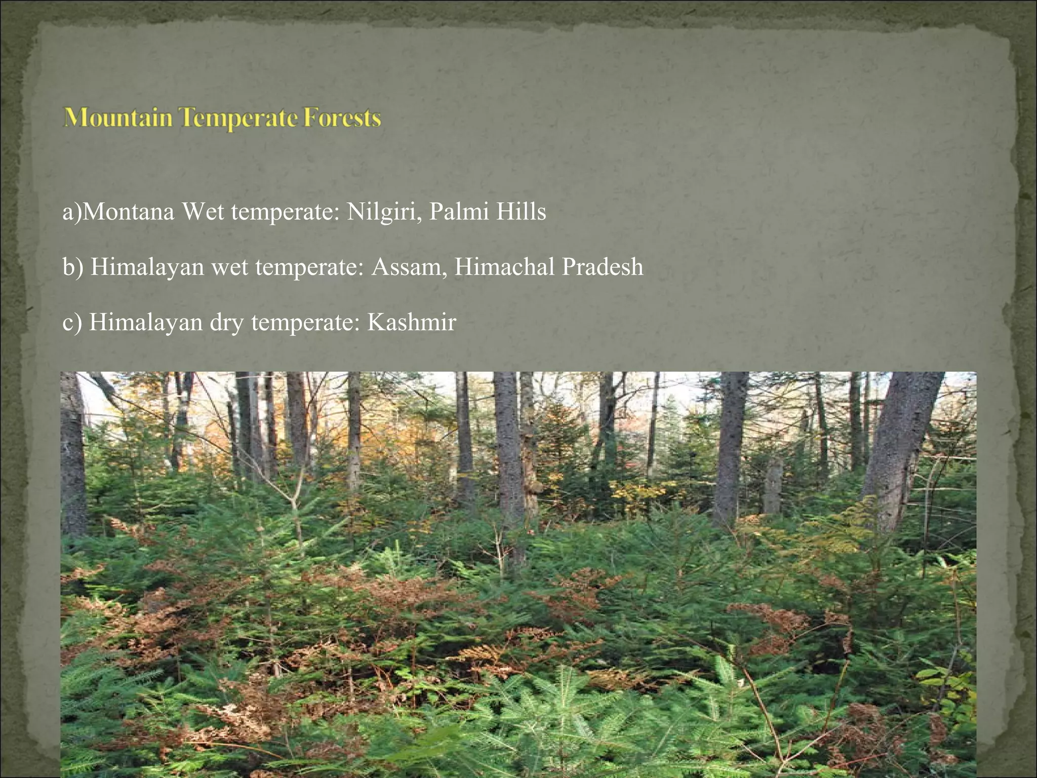 a)Montana Wet temperate: Nilgiri, Palmi Hills
b) Himalayan wet temperate: Assam, Himachal Pradesh
c) Himalayan dry temperate: Kashmir
 