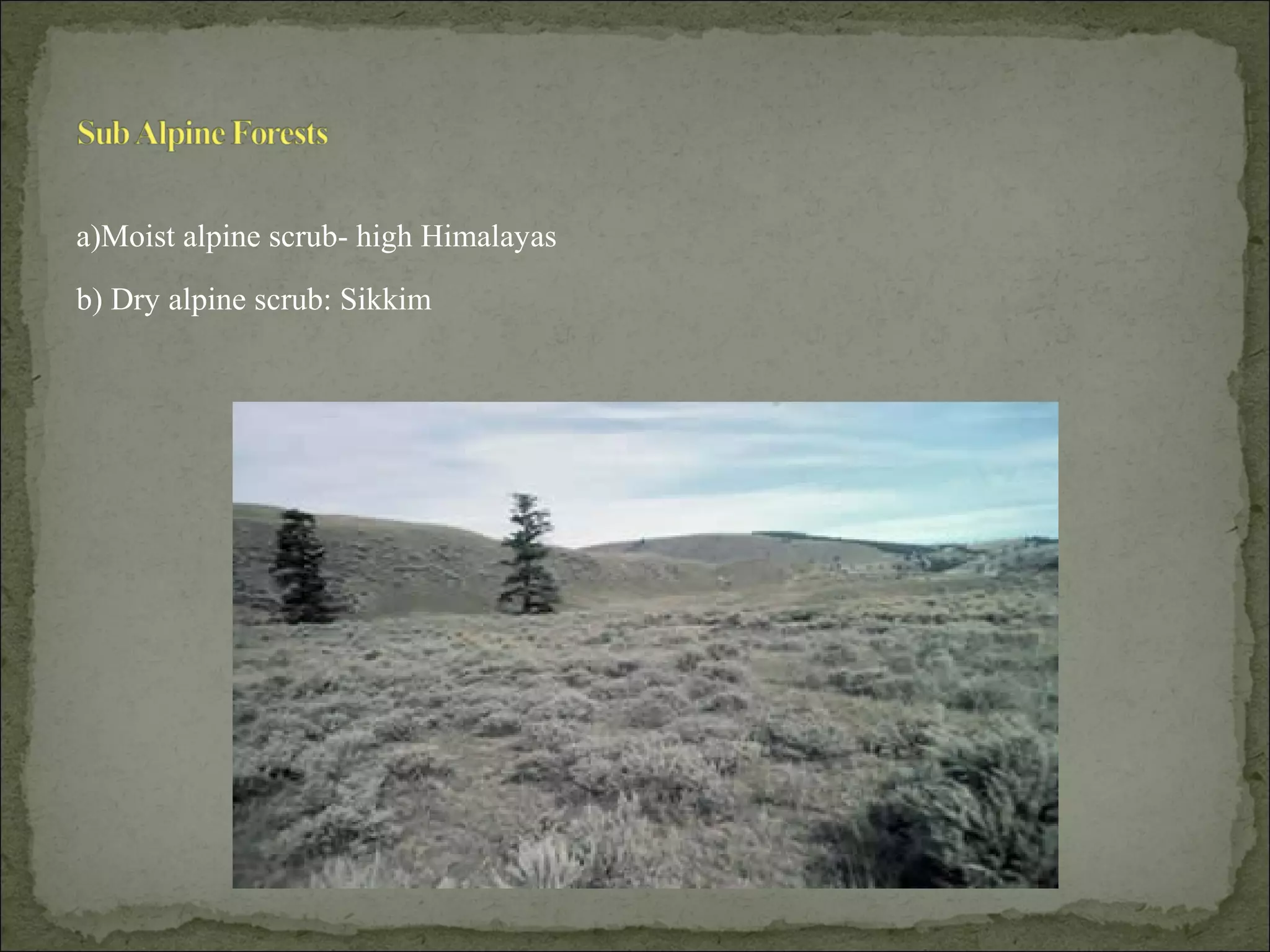 a)Moist alpine scrub- high Himalayas
b) Dry alpine scrub: Sikkim
 