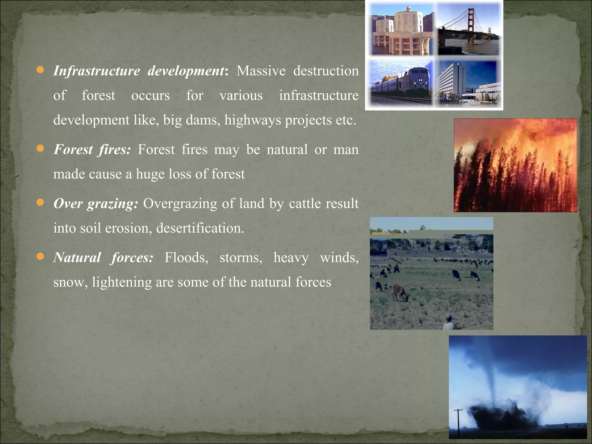  Infrastructure development: Massive destruction
of forest occurs for various infrastructure
development like, big dams, highways projects etc.
 Forest fires: Forest fires may be natural or man
made cause a huge loss of forest
 Over grazing: Overgrazing of land by cattle result
into soil erosion, desertification.
 Natural forces: Floods, storms, heavy winds,
snow, lightening are some of the natural forces
 