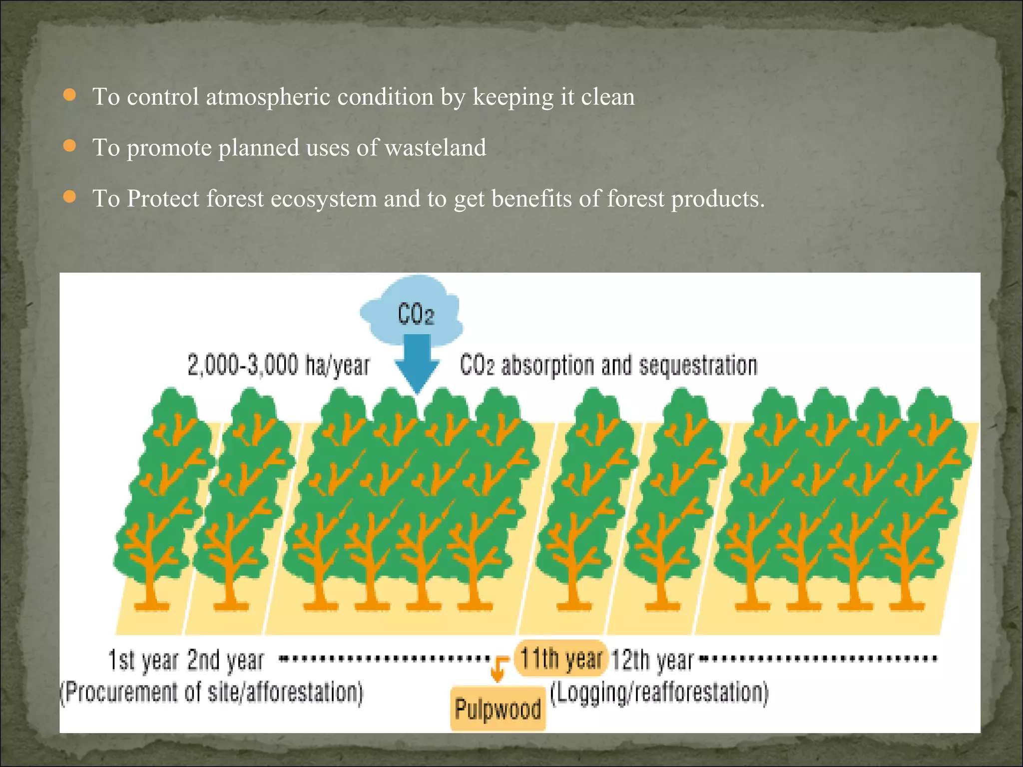  To control atmospheric condition by keeping it clean
 To promote planned uses of wasteland
 To Protect forest ecosystem and to get benefits of forest products.
 