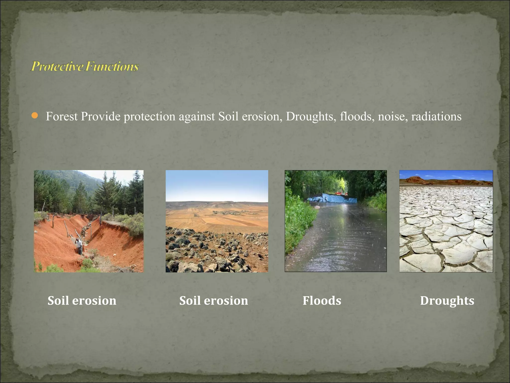  Forest Provide protection against Soil erosion, Droughts, floods, noise, radiations
Soil erosion FloodsSoil erosion Droughts
 
