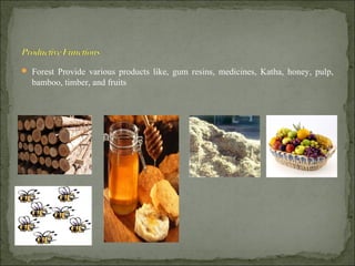 Forest Provide various products like, gum resins, medicines, Katha, honey, pulp,
bamboo, timber, and fruits
 