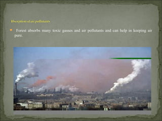  Forest absorbs many toxic gasses and air pollutants and can help in keeping air
pure.
 