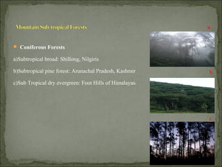  Coniferous Forests
a)Subtropical broad: Shillong, Nilgiris
b)Subtropical pine forest: Arunachal Pradesh, Kashmir
c)Sub Tropical dry evergreen: Foot Hills of Himalayas.
a
b
c
 