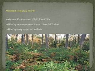 a)Montana Wet temperate: Nilgiri, Palmi Hills
b) Himalayan wet temperate: Assam, Himachal Pradesh
c) Himalayan dry temperate: Kashmir
 