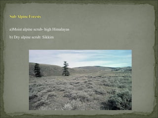 a)Moist alpine scrub- high Himalayas
b) Dry alpine scrub: Sikkim
 