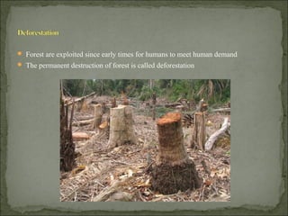  Forest are exploited since early times for humans to meet human demand
 The permanent destruction of forest is called deforestation
 