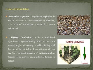  Population explosion: Population explosion is
the root cause of all the environmental problems,
vast area of forests are cleared for human
settlement
 Shifting Cultivation: It is a traditional
agroforestry system widely practiced in north
eastern region of country in which felling and
burning of forests followed by cultivation of crop
for few years and abandon of cultivation allow
forests for re-growth cause extreme damage to
forest.
 