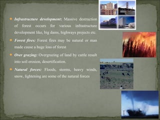  Infrastructure development: Massive destruction
of forest occurs for various infrastructure
development like, big dams, highways projects etc.
 Forest fires: Forest fires may be natural or man
made cause a huge loss of forest
 Over grazing: Overgrazing of land by cattle result
into soil erosion, desertification.
 Natural forces: Floods, storms, heavy winds,
snow, lightening are some of the natural forces
 