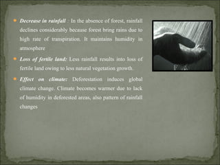  Decrease in rainfall : In the absence of forest, rainfall
declines considerably because forest bring rains due to
high rate of transpiration. It maintains humidity in
atmosphere
 Loss of fertile land: Less rainfall results into loss of
fertile land owing to less natural vegetation growth.
 Effect on climate: Deforestation induces global
climate change. Climate becomes warmer due to lack
of humidity in deforested areas, also pattern of rainfall
changes
 
