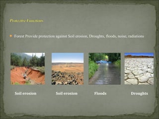  Forest Provide protection against Soil erosion, Droughts, floods, noise, radiations
Soil erosion FloodsSoil erosion Droughts
 