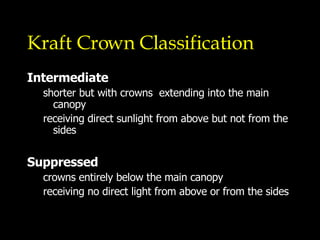Kraft Crown Classification Intermediate shorter but with crowns  extending into the main canopy receiving direct sunlight from above but not from the sides Suppressed crowns entirely below the main canopy receiving no direct light from above or from the sides 
