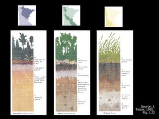 Source: J. Tester, 1995.  Fig. 1.22 