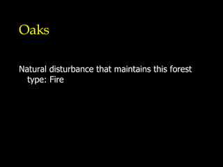 Oaks Natural disturbance that maintains this forest type: Fire 