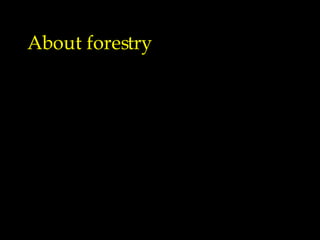 About forestry 