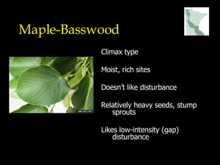 Maple-Basswood Climax type Moist, rich sites  Doesn’t like disturbance Relatively heavy seeds, stump sprouts Likes low-intensity (gap) disturbance 