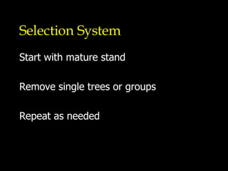 Selection System Start with mature stand Remove single trees or groups Repeat as needed 